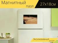 Магнитный пазл "Сыр, твердый сыр, вкусный" на холодильник 27 x 18 см