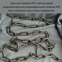 Цепь для привязи скота