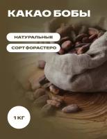 Какао бобы натуральные сорт Форастеро, 1 кг