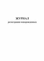 Журнал регистрации новорожденных, вариант 2