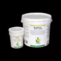 Клей Lechner Sipol двухкомпонентный эпоксидно-полиуретановый (9+1) 10 кг KLES10