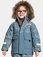 Didriksons куртка POLARBJORNEN PR PARKA снегири на голубом, размер 120