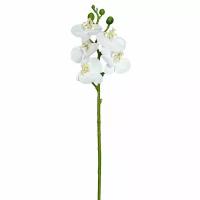 Искусственный цветок Fiebiger Floristik - Орхидея, белая, 46 см, 1 шт