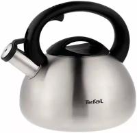 Чайник металлический TEFAL C7921024 2.5л. серебристый