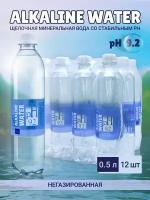 Питьевая щелочная вода pH 9,2 негазированная 12 шт по 0,5 л Alkaline water