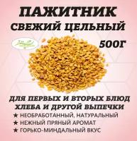 Пажитник семя В.С. Индия 500г