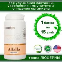 Alfalfa Santegra / Альфальфа Сантегра, 100 таблеток, 300 мг. / Трава люцерны для увеличения лактации