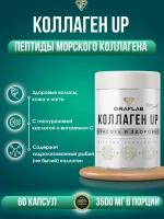 GraFLab, коллаген морской, Collagen UP, пептиды морского коллагена, 60 капсул