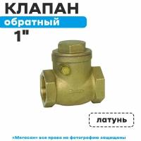 Обратный клапан горизонтальный 1"