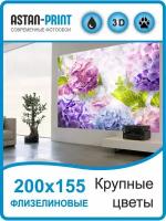 Фотообои флизелиновые Крупные цветы 200х155