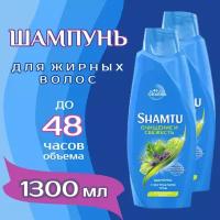 Shamtu шампунь до 48 часов объема с Push-up эффектом Глубокое очищение и свежесть с экстрактами трав для жирных волос