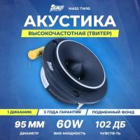 Акустика эстрадная AMP MASS TW95