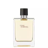 Hermes Terre D'Hermes 2 мл