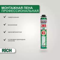 Профессиональная монтажная Пена RICH 45 1 шт