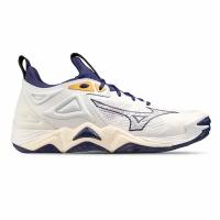 Мужские кроссовки волейбольные MIZUNO V1GA2312 43 WAVE MOMENTUM 3 ( 10,5 US )