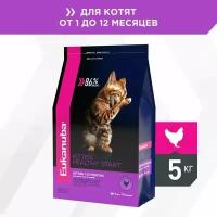 Сухой корм для котят Eukanuba Healthy start, с курицей 5 кг