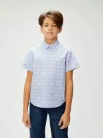 Рубашка Acoola, размер 146, голубой
