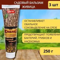 Ортон Садовый бальзам Живица 250 г, 3шт