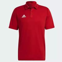 Поло Adidas Entrada 22 Polo Tee