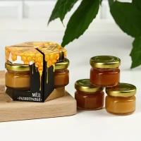 Набор «Медовое наслаждение»: мёд гречишный, мёд разнотравье, мёд таёжный, 3 шт. х 30 г