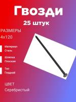 Гвозди 4х120 (строительные)