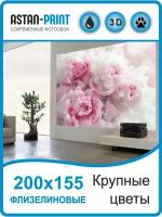 Фотообои флизелиновые Крупные цветы 200х155