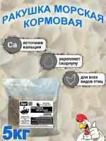 Ракушка морская кормовая 5кг