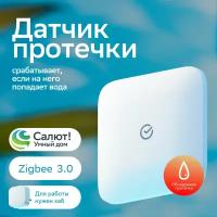 Датчик протечки SBER, Zigbee 3.0, белый (SBDV-00154)