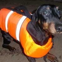 Спасательный жилет для собаки (размер М до 15-18 кг) оранжевый