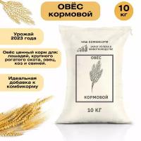 Овес кормовой 10 кг. Незаменимый продукт для кормления лошадей, крупного рогатого скота, овец и свиней. Отборные сорта зерновых культур