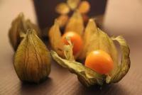 Физалис наименьший - Изумрудная ягода - Китайский фонарик (лат. Physalis minima) семена 25шт