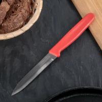Нож "Эконом" средний, лезвие 10,5 см, цвет микс 4210347