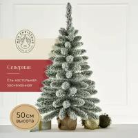 MAX CHRISTMAS Ель настольная Max Christmas Северная 0,5 м ЕНС 05