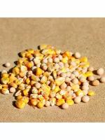 5 кг. Зерновая смесь: горох кормовой, кукуруза кормовая