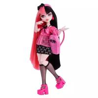 Кукла Monster High Day Out Draculaura HKY71 розовый