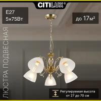 Citilux Латур CL413251 Люстра подвесная Бронза