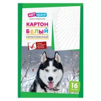 Картон белый ArtSpace A4, 16 листов, немелованный, в папке (Нкн16б_6962 / 220683)