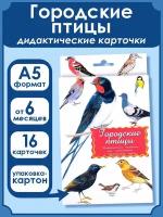 Дидактические карточки Маленький гений Городские птицы