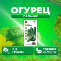 Огурец Пальчик, 0,5г, Удачные семена (1 уп)