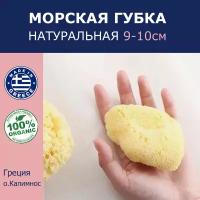 Губка морская натуральная Milos, детская, HONEYCOMB, 9-10 см Греция (о.Милос)