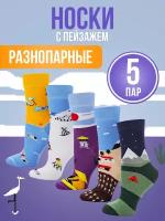 Носки Big Bang Socks, 5 пар, 5 уп., размер 40-44, мультиколор