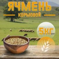 Ячмень для лошадей и с/х животных 5 кг