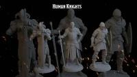Набор миниатюр Рыцари 51-55мм (ДнД, DnD, D&D, Dungeons & Dragons, Pathfinder, Подземелья и Драконы, Wargames, BG3)