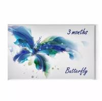 Офтальмикс Butterfly 3-тоновые (2 линзы) -7.50 R 8.6 Green (Зеленый)