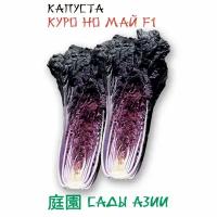 Капуста пекинская "Куро Но Май" F1