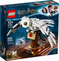 Конструктор LEGO Harry Potter 75979 Букля, 630 дет