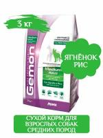 Gemon Dog Medium Adult (Ягненок, рис) 3 кг