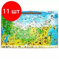 Комплект 11 шт, Карта России "Наша родина" 101х69 см, с ламинацией, интерактивная, в тубусе, юнландия, 112374