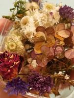 Набор Сухоцветов. Ассорти цветов для декора свечей, эпоксидной смолы, мыловарения