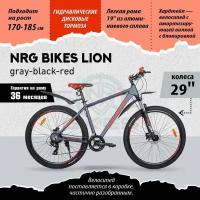 Велосипед NRG Bikes LION 29' AL/19', gray-black-red